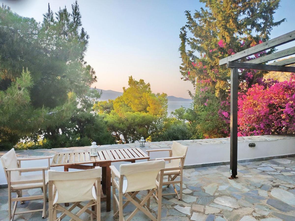 Pine Trees And Sea View Houses In Hydra - Daphne, Chloe, Myrto, Eleni 外观 照片