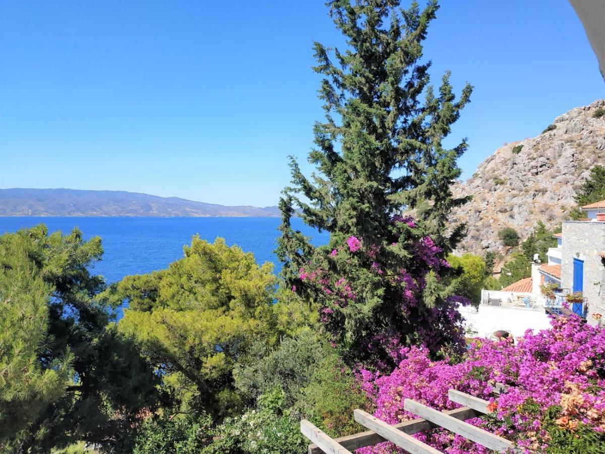Pine Trees And Sea View Houses In Hydra - Daphne, Chloe, Myrto, Eleni 外观 照片