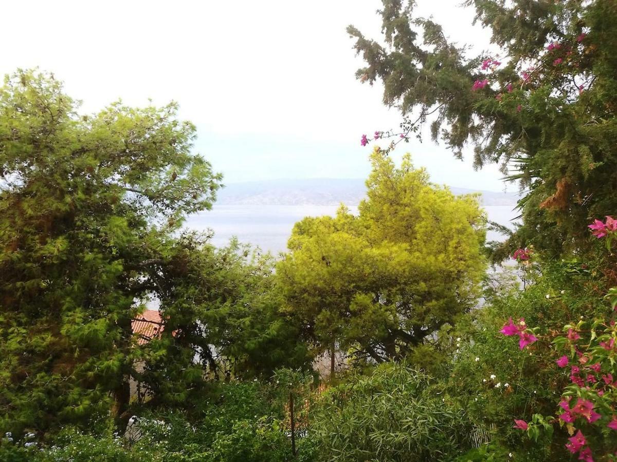 Pine Trees And Sea View Houses In Hydra - Daphne, Chloe, Myrto, Eleni 外观 照片
