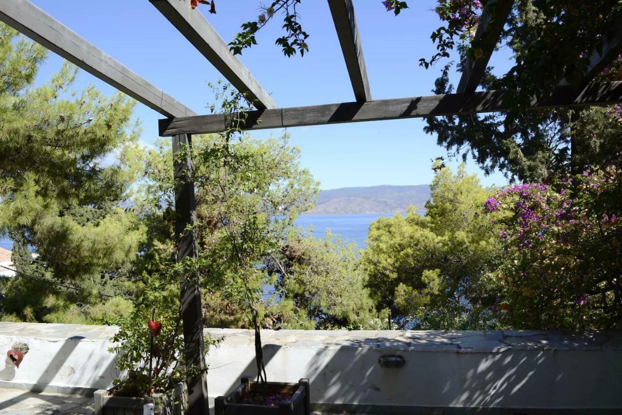 Pine Trees And Sea View Houses In Hydra - Daphne, Chloe, Myrto, Eleni 外观 照片